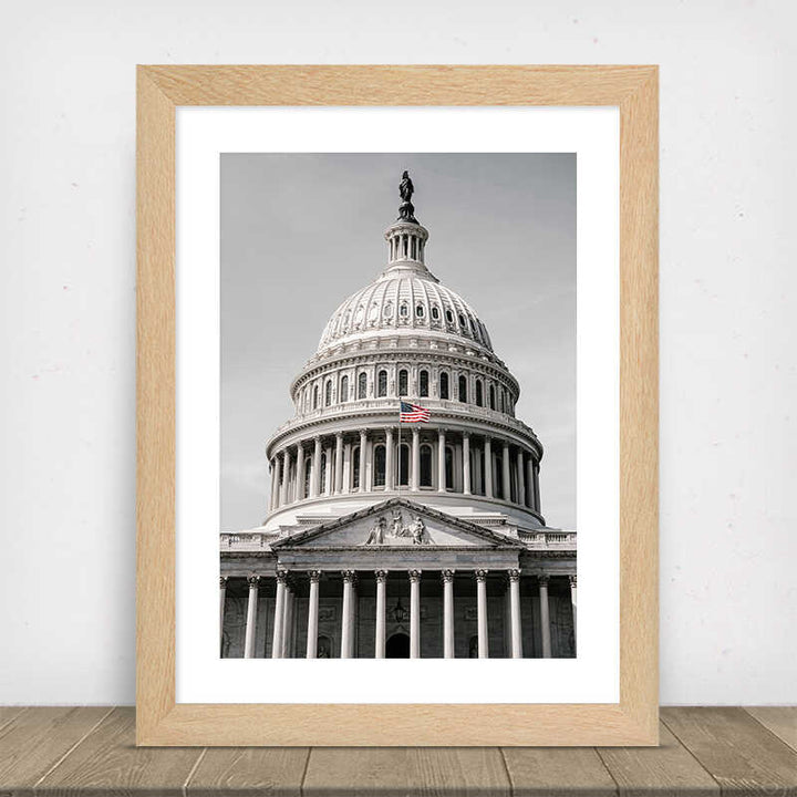 US Capitol Building Poster