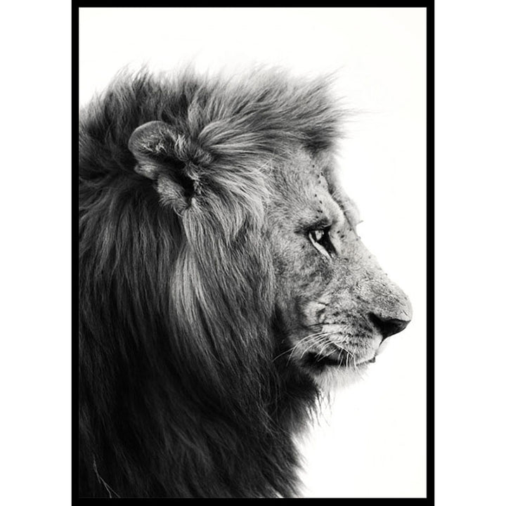 Black and White Lion Poster