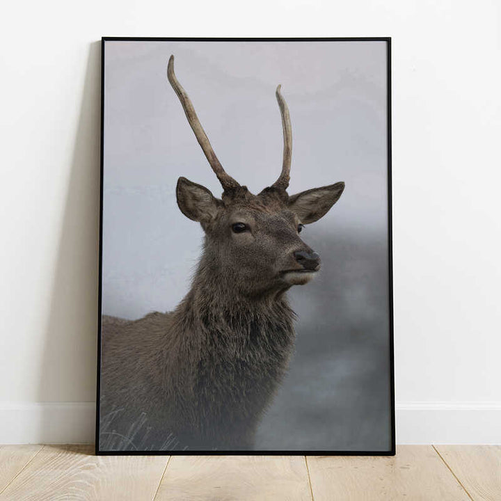 Deer Portrait Poster Number 2