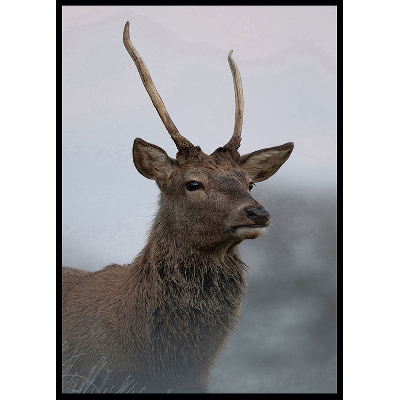Deer Portrait Poster Number 2