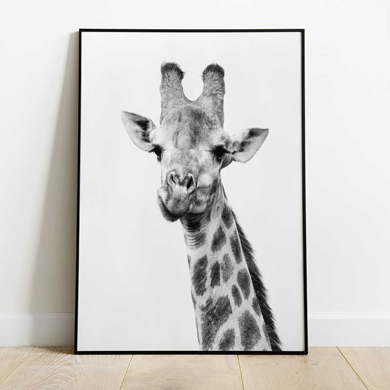 Black and White Giraffe Poster