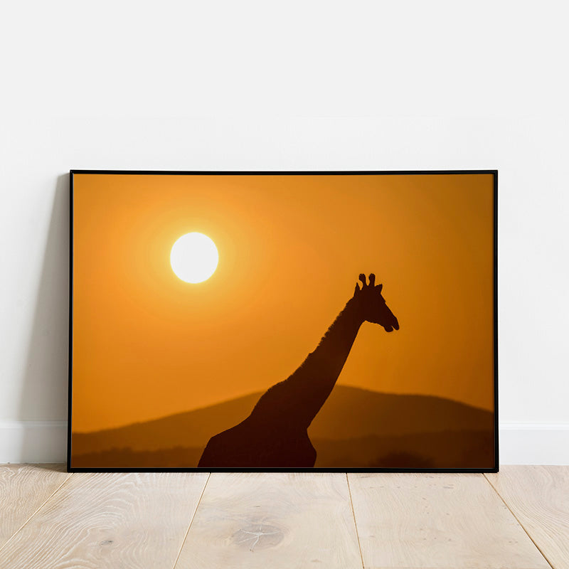 Giraffe Silhouette Poster