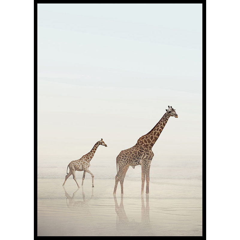 Beach Giraffes Poster