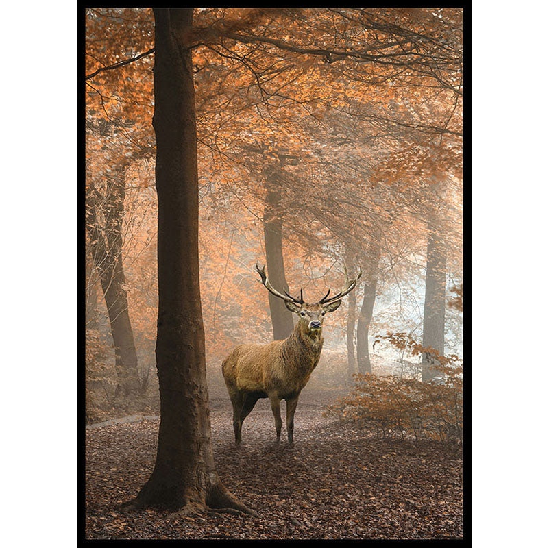 Golden Hour Stag Poster
