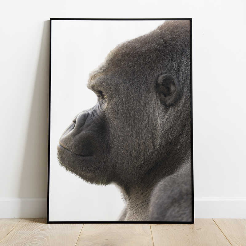 Gorilla Side Profile Poster