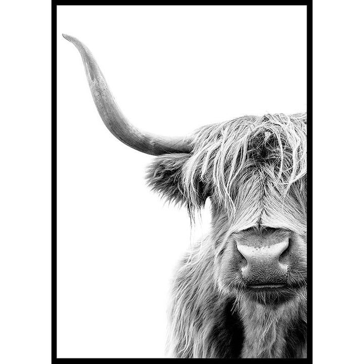 Highland Cow Poster Number 1