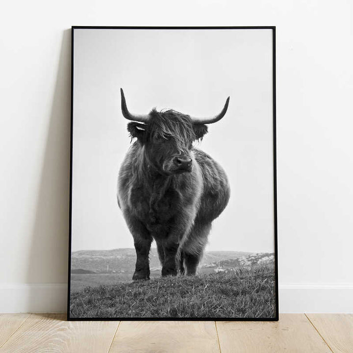 Highland Cow Poster Number 2
