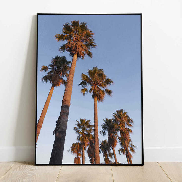 Golden Hour Palm Trees Poster