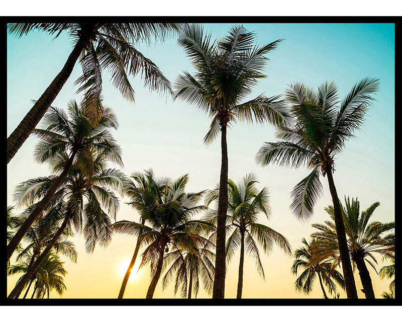 Sunset Palm Trees Poster