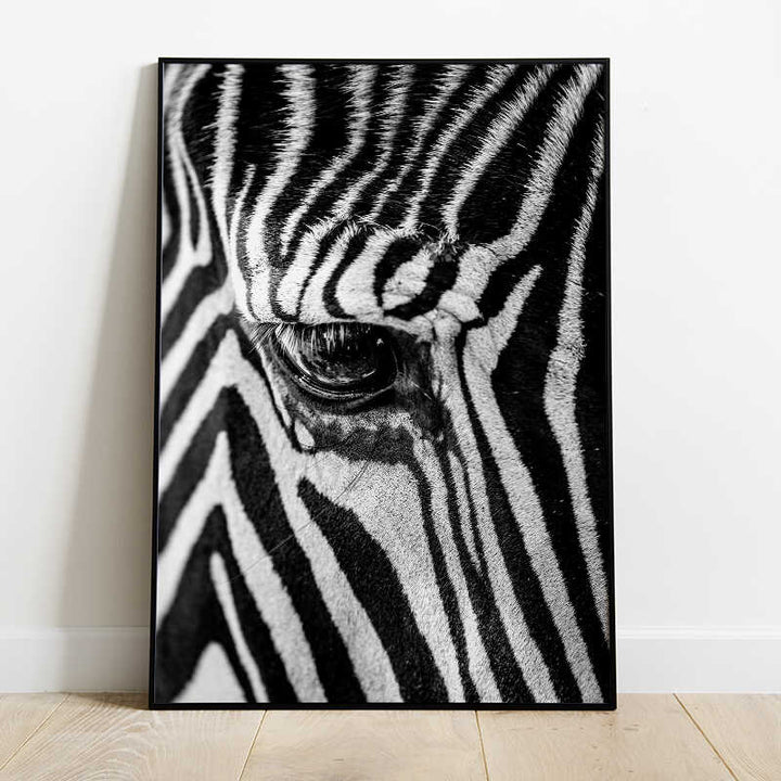 Zebra Close Up Poster